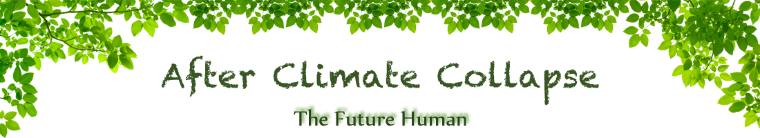After Climate Collapse